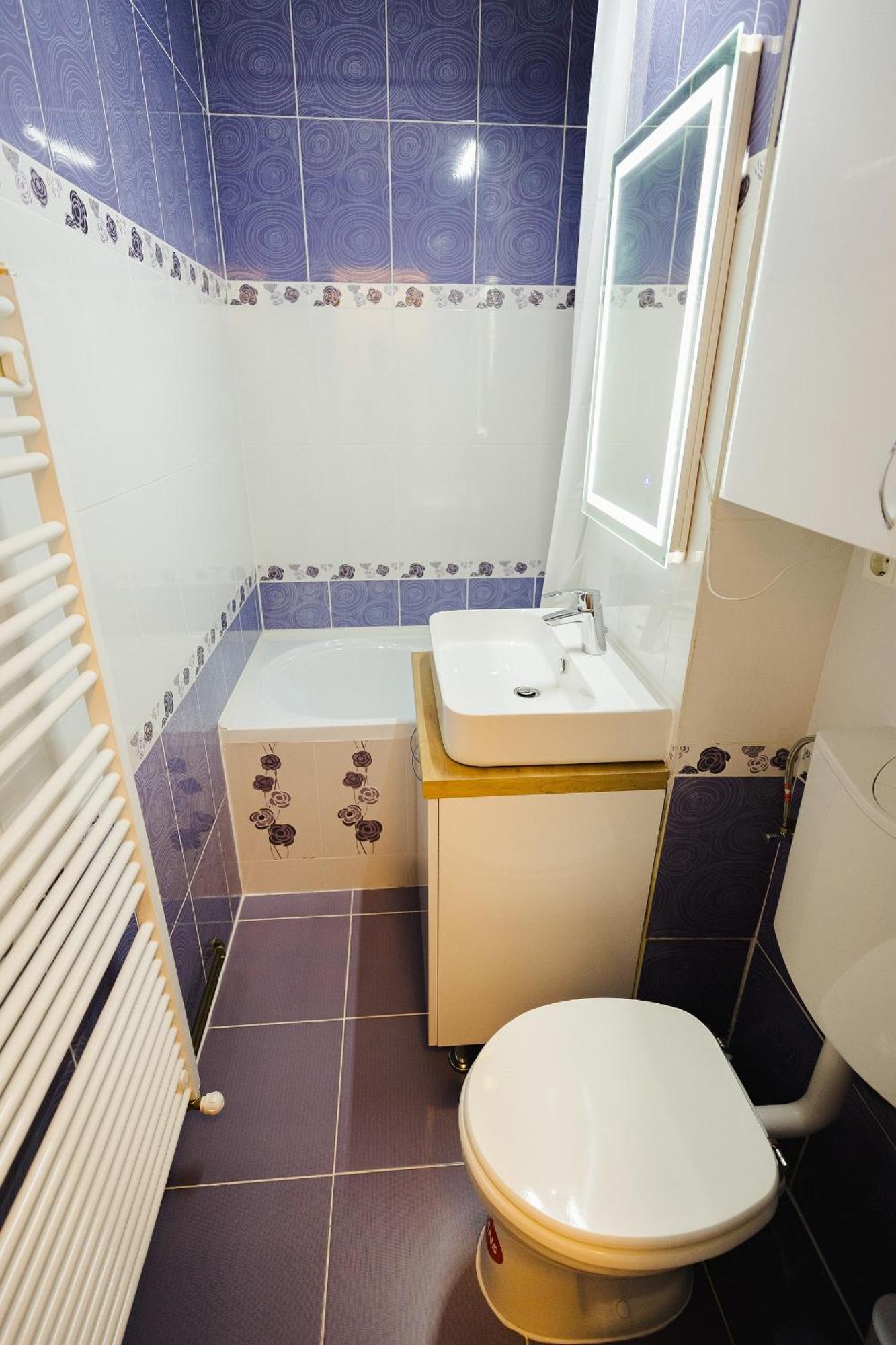 Apartamentul Anisiei 公寓