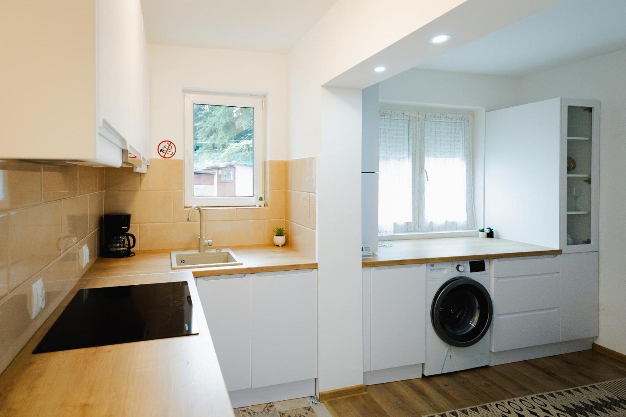 Apartamentul Anisiei *